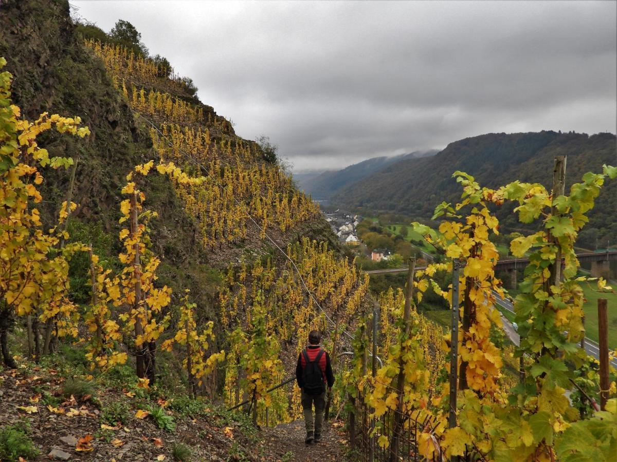 Pension Winnemuller Cochem Bagian luar foto